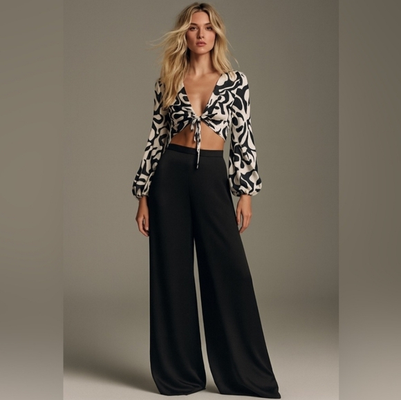 Caroline Constas Tops - NWT Caroline Constas Black White Long Sleeve Satin Crop Blouse wide leg Pant set